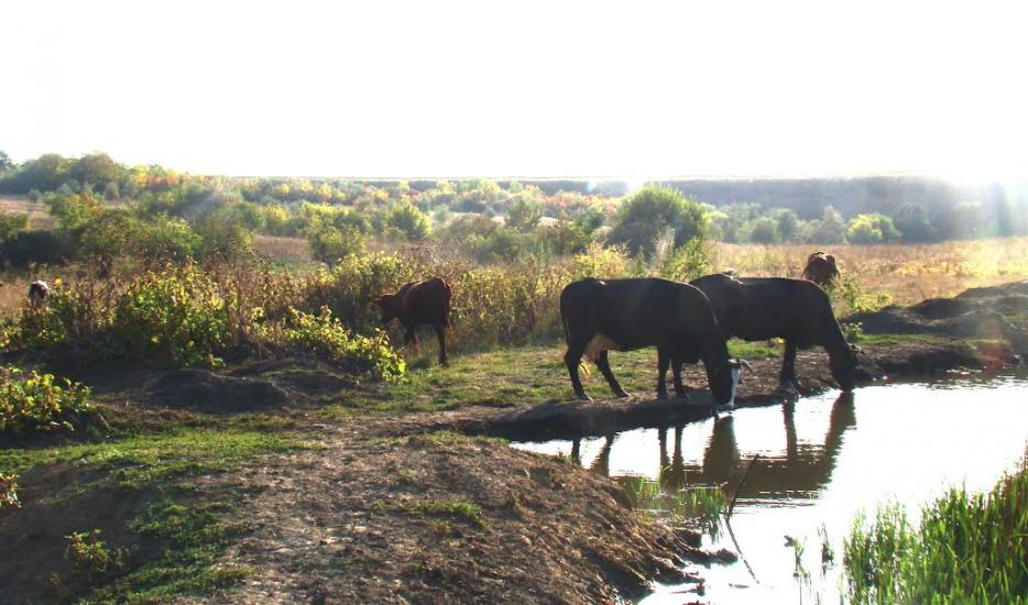 Високогірне з panoramio.com - Високогірне
