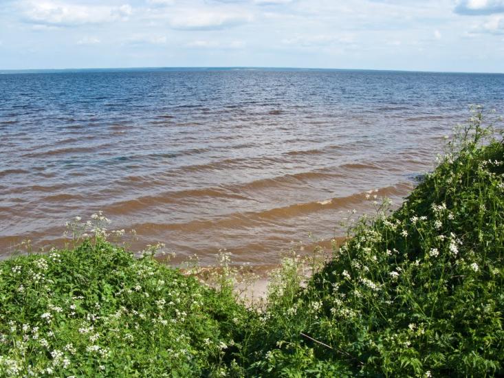Григорівка з panoramio.com - Григоровка