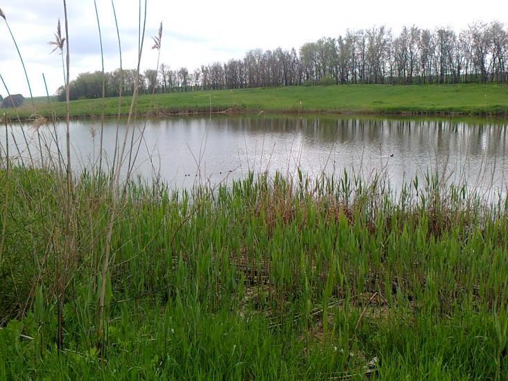 Куликове з panoramio.com - Куликове