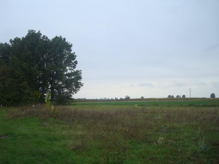 Григорівка з panoramio.com - Григоровка