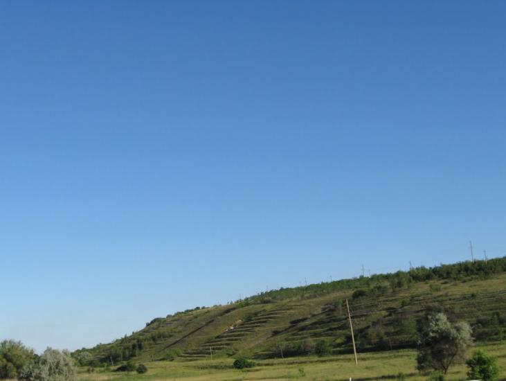 Новоайдар з panoramio.com - Новоайдар