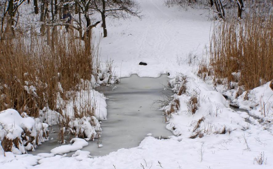 Дачне з panoramio.com - Дачное