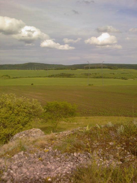 Біла з panoramio.com - Белая
