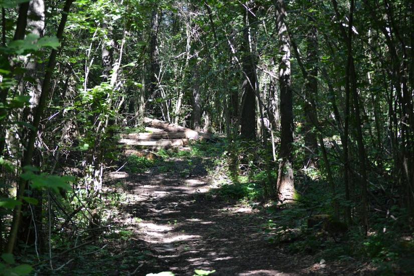 Грабовське з panoramio.com - Грабовское