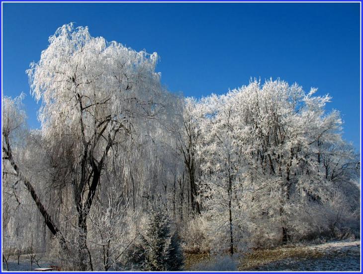 Букачівці з panoramio.com - Букачевцы