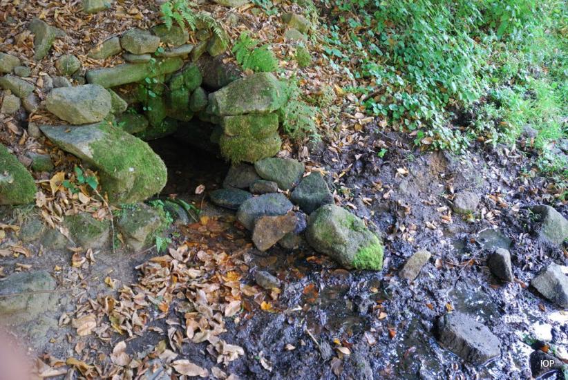 Бронька з panoramio.com - Бронька