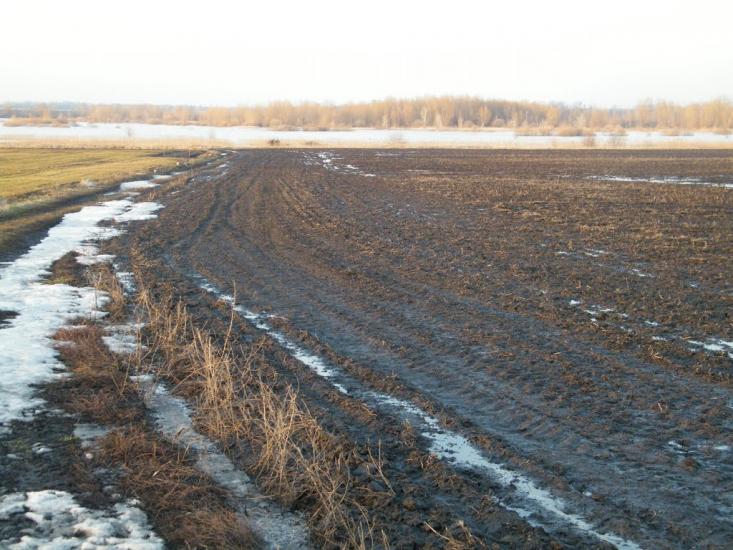 Панівка з panoramio.com - Панівка