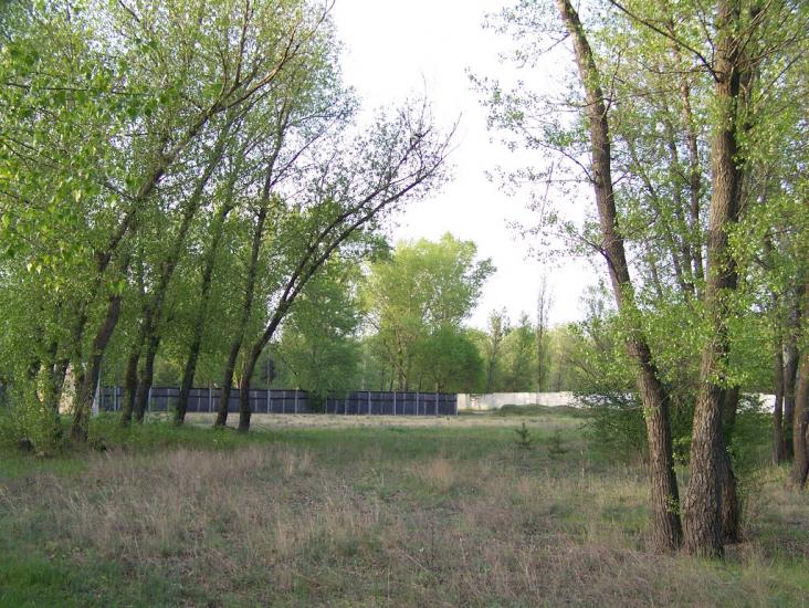 Самусіївка з panoramio.com - Самусіївка