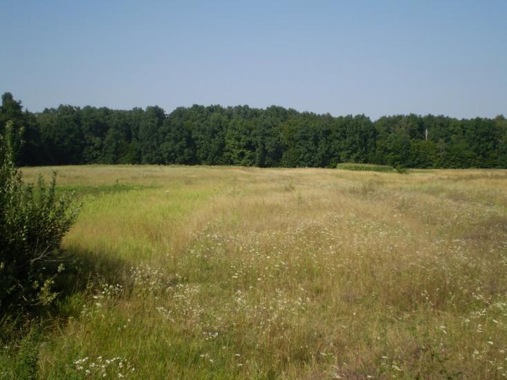 Селище з panoramio.com - Селище