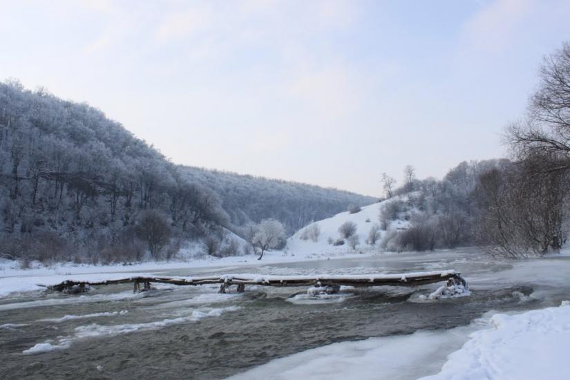 Голосків з panoramio.com - Голосків