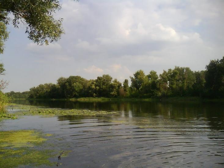 Пришиб з panoramio.com - Пришиб