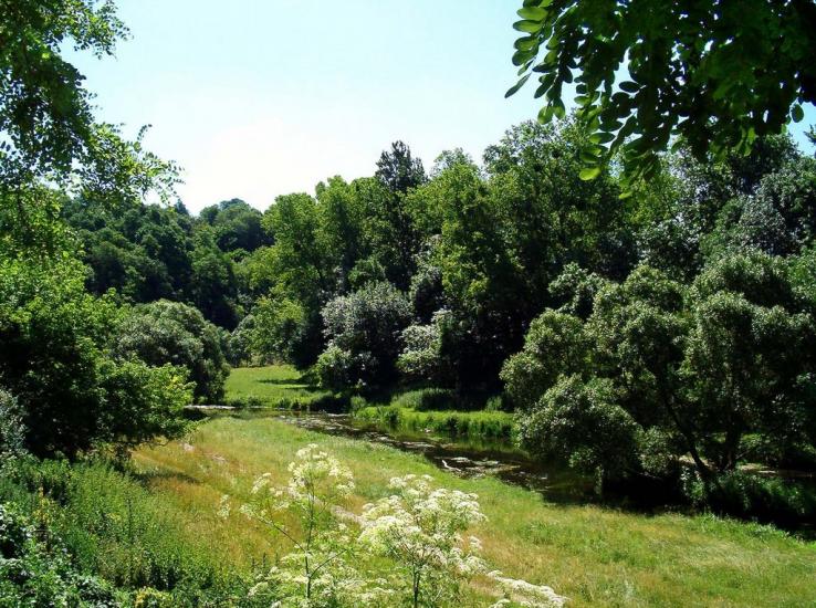 Зарічани з panoramio.com - Зарічани