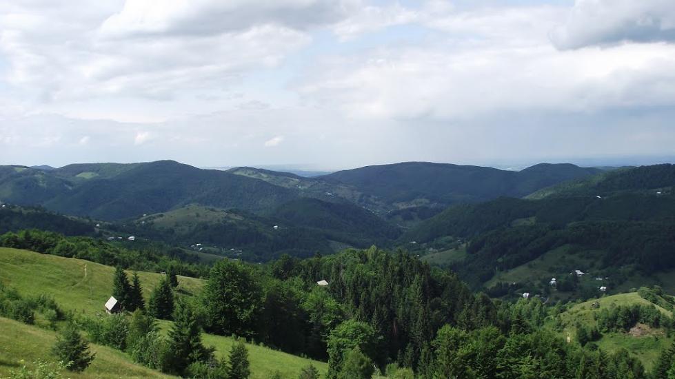 Малий Рожин з panoramio.com - Малий Рожин