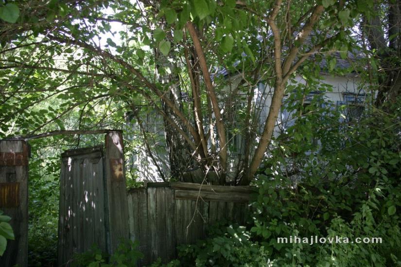 Михайлівка з panoramio.com - Михайлівка