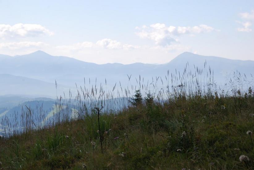Черник з panoramio.com - Черник