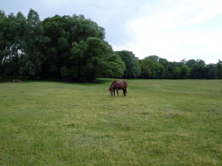 Авдіївка з panoramio.com - Авдіївка