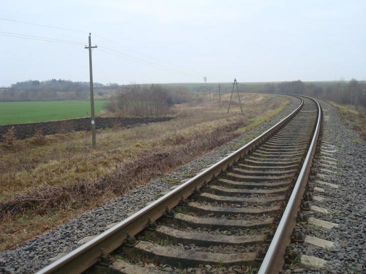 Радісне з panoramio.com - Радостное