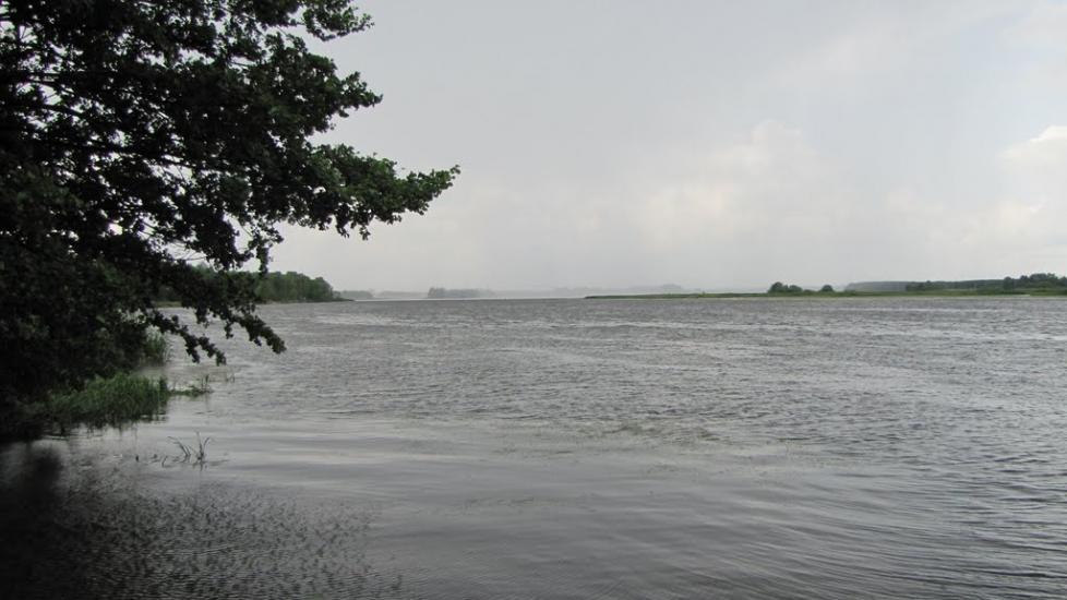 Сорокошичі з panoramio.com - Сорокошичи