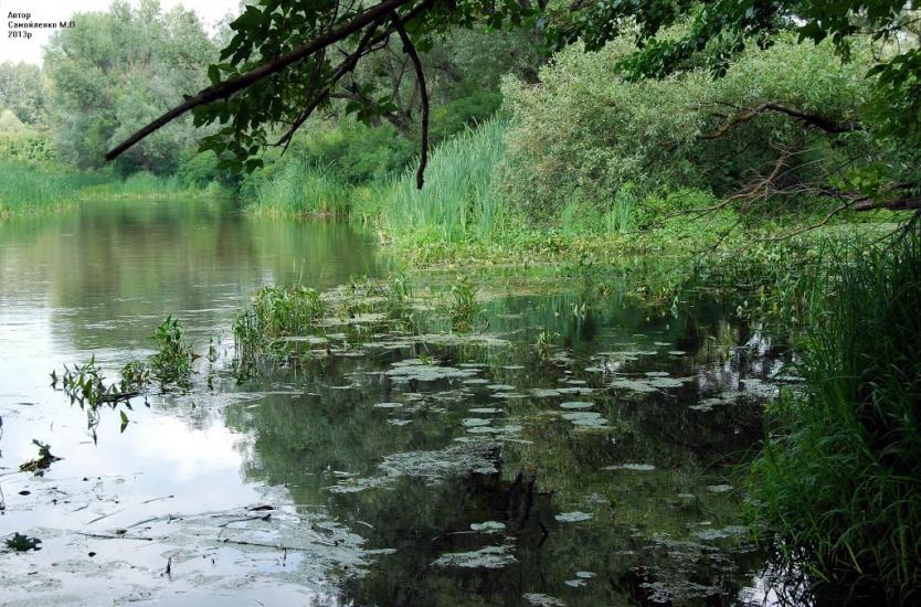 Лабурівка з panoramio.com - Лабуревка