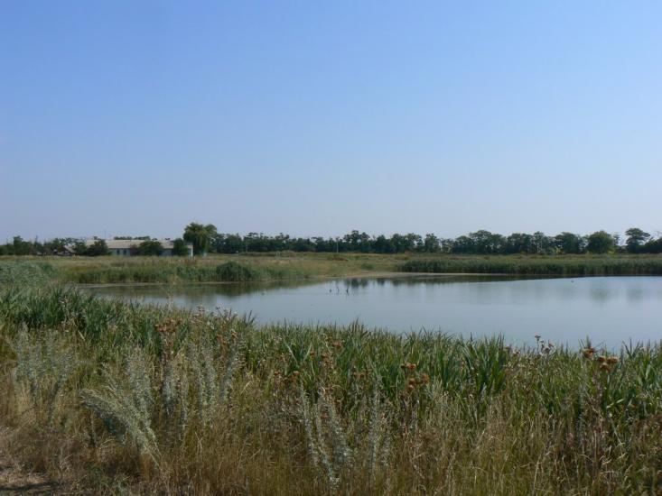 Новозлатопіль з panoramio.com - Новозлатопіль