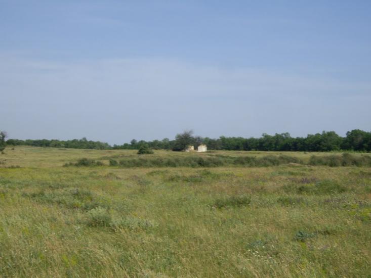 Петропавлівка з panoramio.com - Petropavlivka