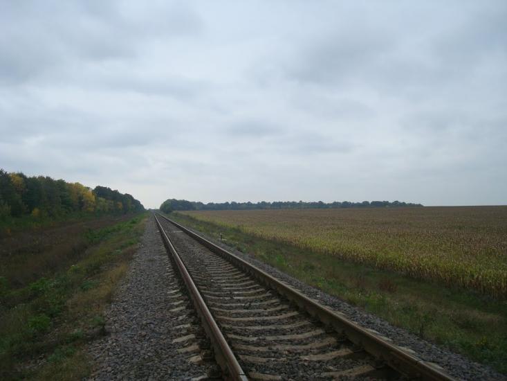 Григорівка з panoramio.com - Grygorivka