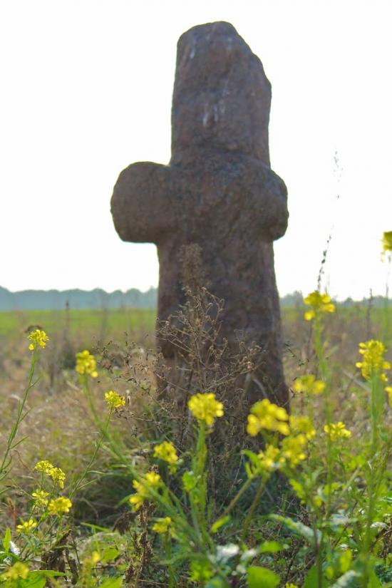 Карбівське з panoramio.com - Карбовское