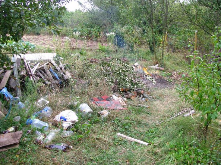 Циркуни з panoramio.com - Циркуни
