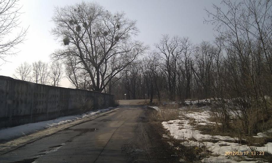 Данилівка з panoramio.com - Даниловка