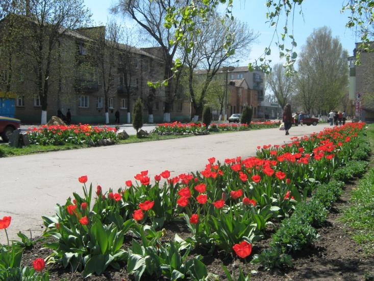 Оріхів з panoramio.com - Orikhiv
