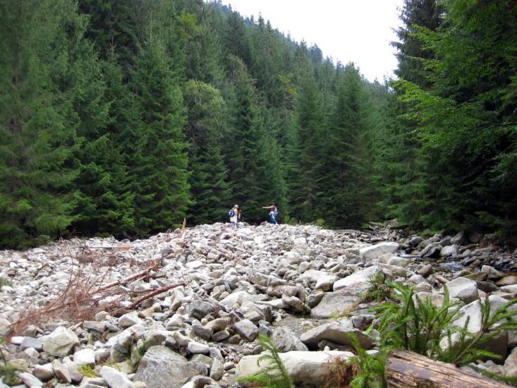 Максимець з panoramio.com - Максимец