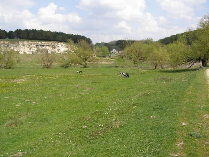 Віньківці з panoramio.com - Виньковцы