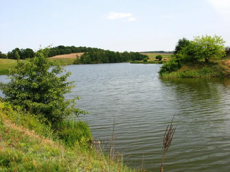 Веселий Кут з panoramio.com - Веселий Кут