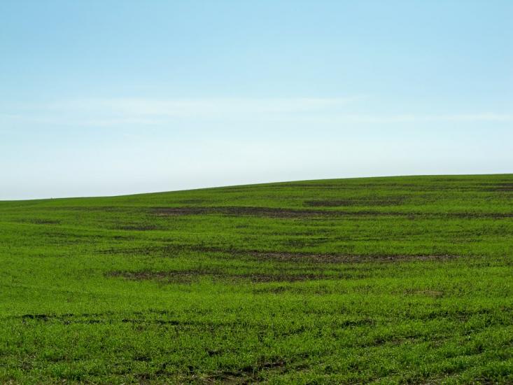 Витачів з panoramio.com - Витачів