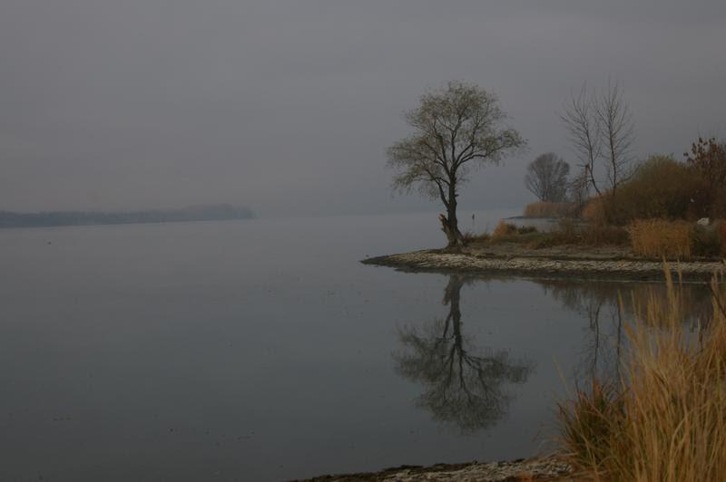 Вільхівка з panoramio.com - Вільхівка