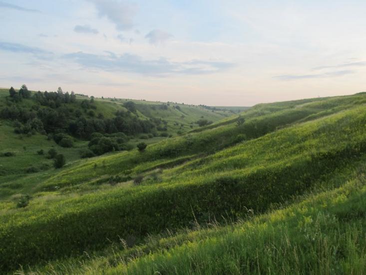 Дермань Перша з panoramio.com - Дермань Перша