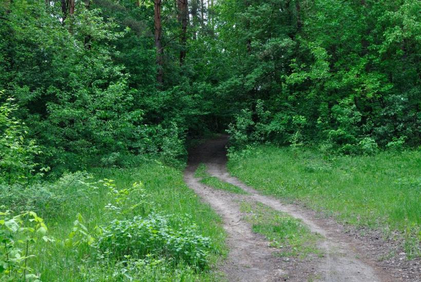 Капітанівка з panoramio.com - Капитановка