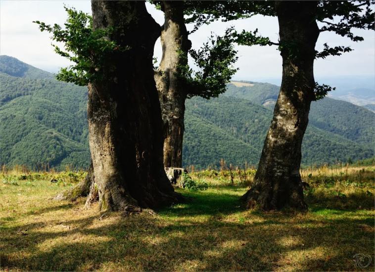 Сопки з panoramio.com - Сопки