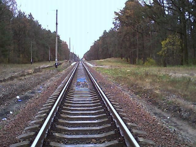 Княжичі з panoramio.com - Княжичі
