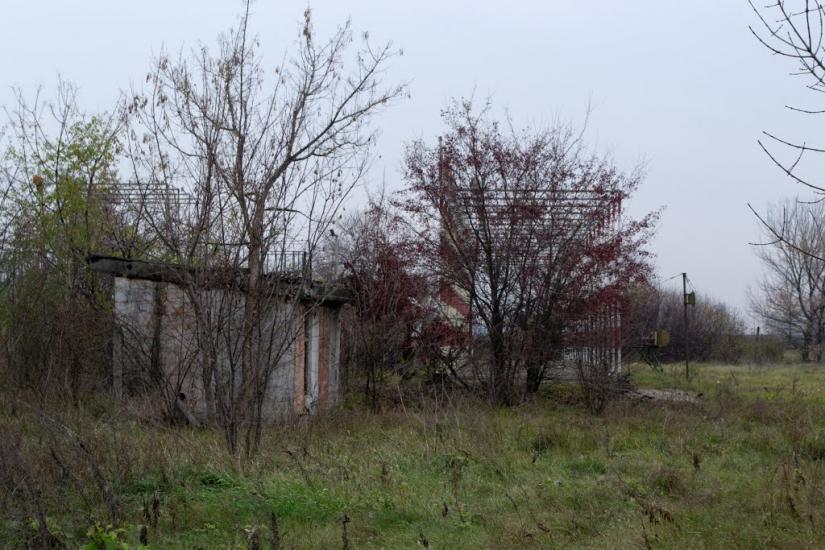 Новоіванівське з panoramio.com - Новоіванівське