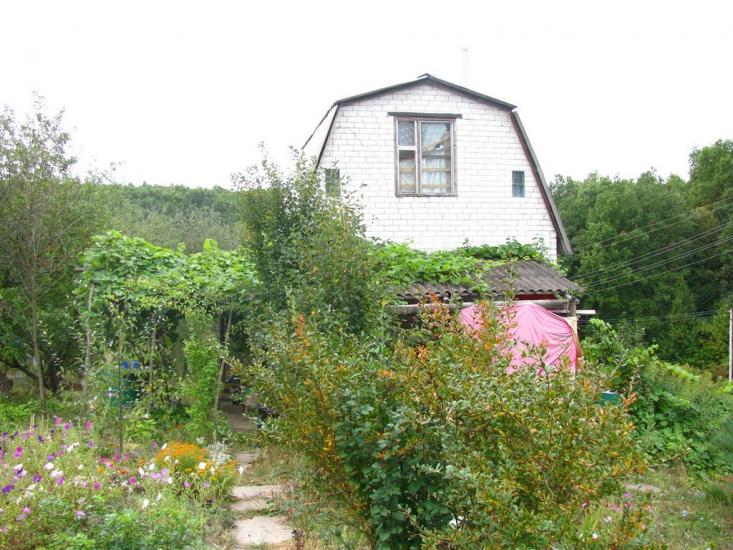 Циркуни з panoramio.com - Циркуни