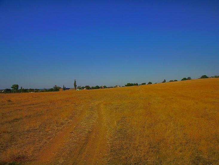 Берегове з panoramio.com - Берегово
