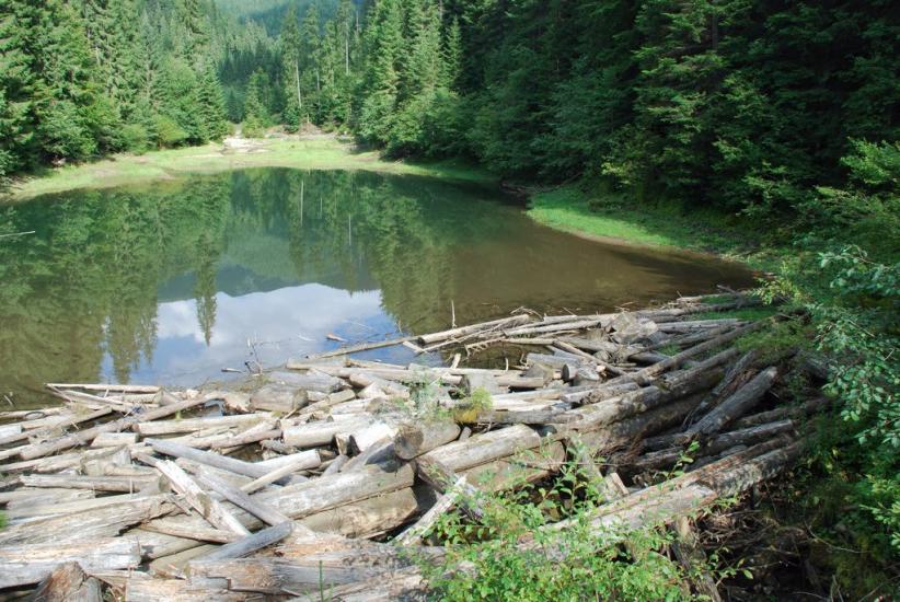 Бистриця з panoramio.com - Быстрица