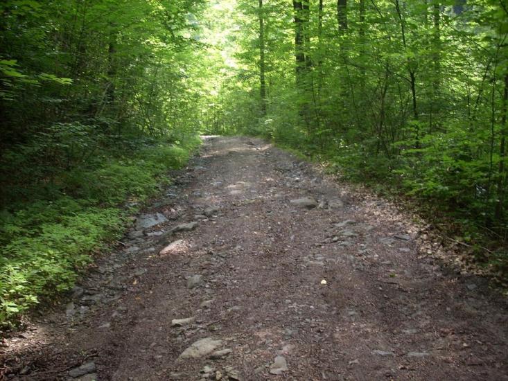 Кам'яниця з panoramio.com - Кам'яниця
