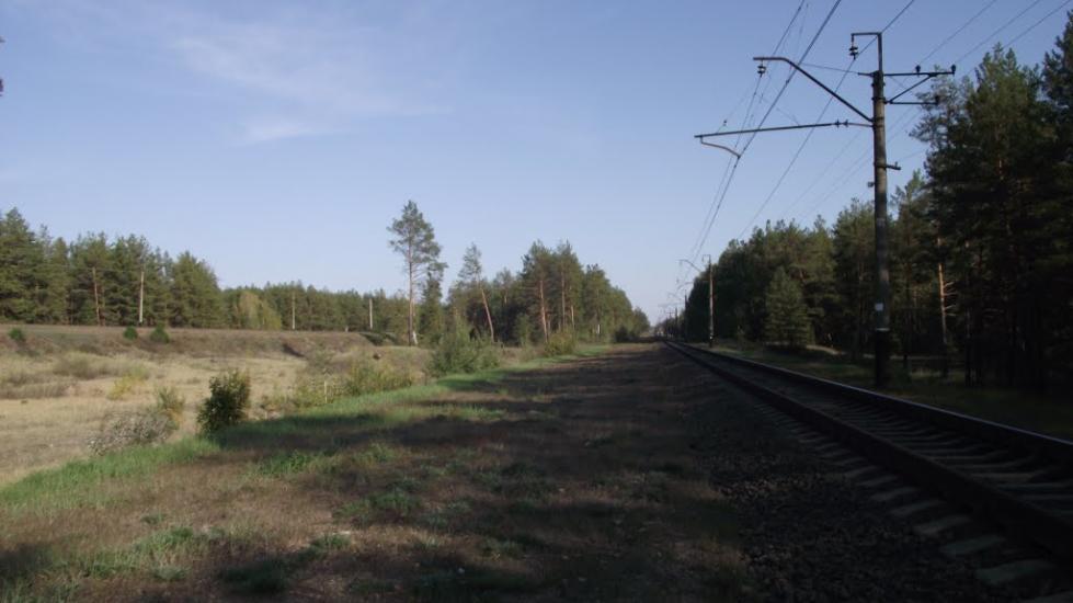 Ярова з panoramio.com - Яровая