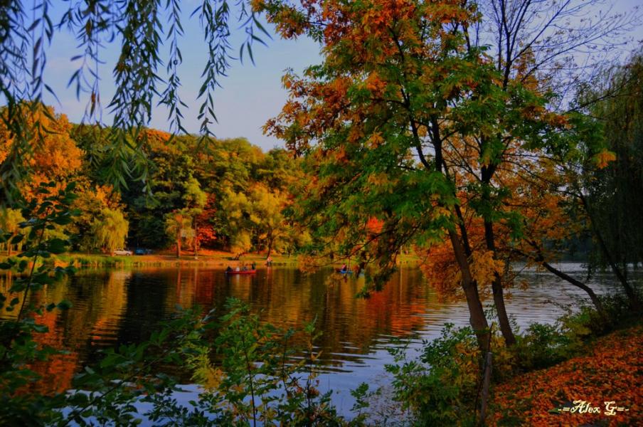 Новосілки з panoramio.com - Новоселки