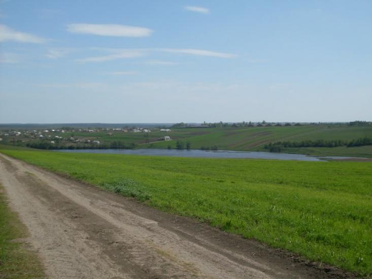 Куна з panoramio.com - Kuna