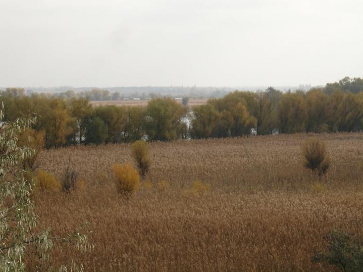 Дніпровське з panoramio.com - Дніпровське