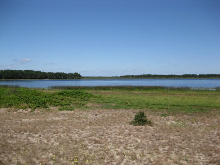 Залухів з panoramio.com - Zalukhiv