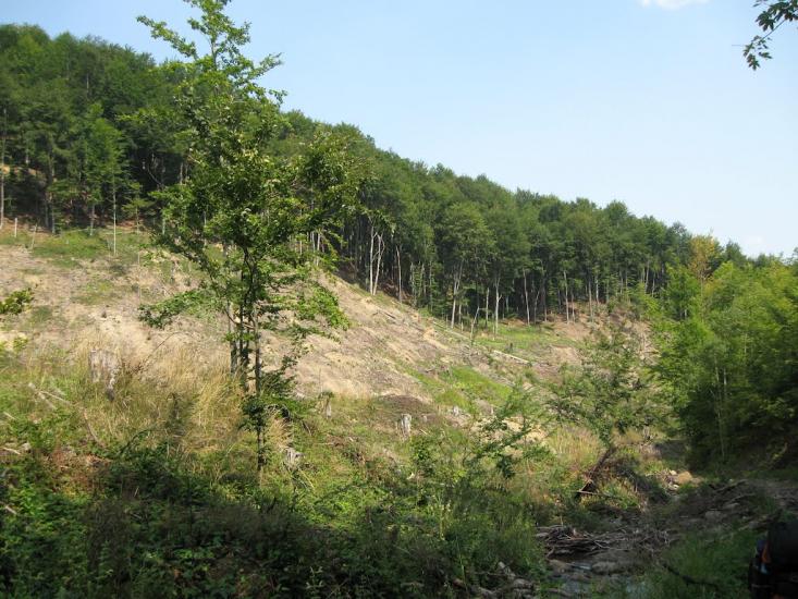 Сопки з panoramio.com - Сопки